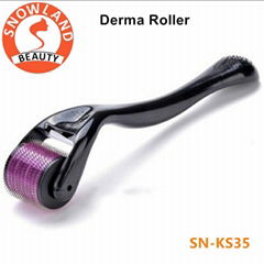 540 Titanium Micro needle Derma roller