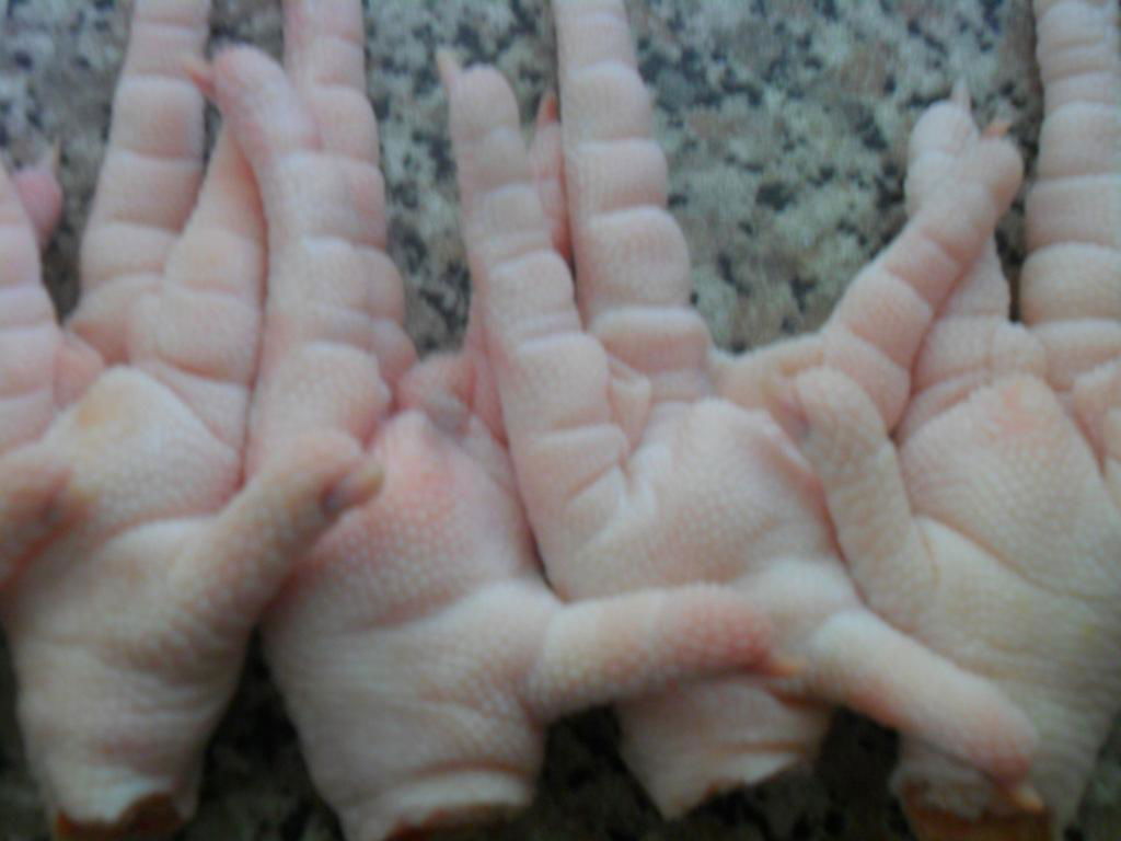 Brazil Frozen Chicke Feet Produces