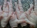 Brazil Frozen Chicke Feet Produces 1