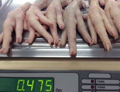 Frozen Chicken Feet and Paws for sale - Grade A