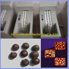 Small Chestnut Opening Machine