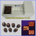 Small Chestnut Opening Machine 2