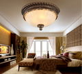 Typical Retro style Resin glass celling