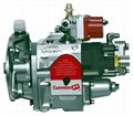 CUMMINS PT pump 3080521BD76 1