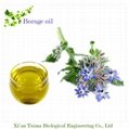 2017 best selling products borage seed oil Taima borage oil with the best price
