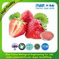 Hot sell Russia high quality freeze-dried strawberry powder