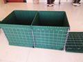 Heavy Gabion Mesh 1