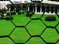 Hexagonal Wire Mesh 4