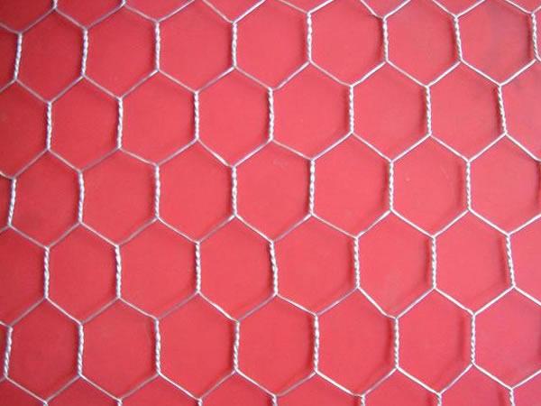 Hexagonal Wire Mesh 5