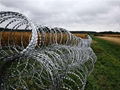 Razor Barbed Wire 4