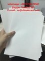 Inkjet laser printing Teslin paper sheet