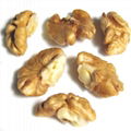 top quanlity nut premium high Beta carotene riboflavin Calcium phosphorus walnut 3