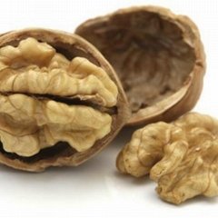 new crop factory direct premium light amber dried nuts thin shell walnut kernel