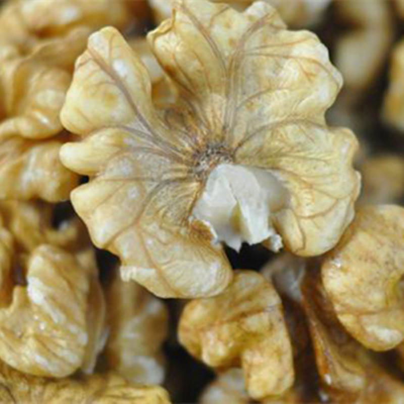 new crop organic without broben whole butterfly dried nuts Light  inshell walnut 3