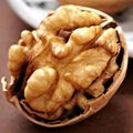 raw organic brached comtemporary extra light half small butterfly walnut kernel 1