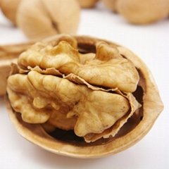 light halves brand amber butterfly agricultual unshell walnut kernels