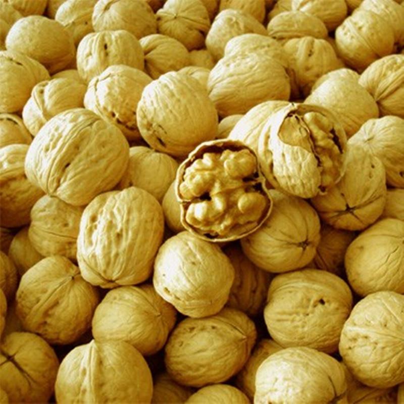 fresh blended Rich blended nutrition nuts longan fruit light thin