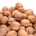 fresh blended Rich blended nutrition nuts longan fruit light thin inshell walnut 3