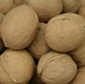 premium natural organic snacks beverage big thin skin inshell walnut 2