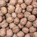 nut premium natural organic high oil content thin skin inshell walnut 4