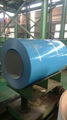 PREPAINTED GALVANIZED STEEL COIL 1