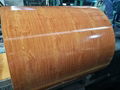 WOODEN PREPAINTED GALVANIZED STEEL COIL 1