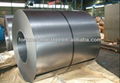 GALVANIZED STEEL COIL 1