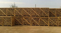 Fire Wood and wood Pellets - Best Price