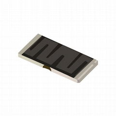 Surface Mount Resistors LFS2817