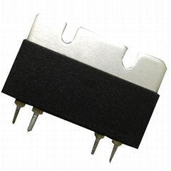 High Precision Resistor MVR3825-4