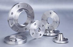 Stainless steel flanges avoid us