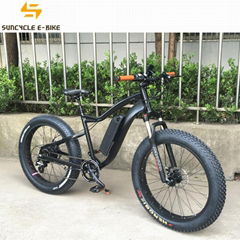 EN15194 Aluminum alloy 26" lithium battery electric fat bike 