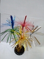 firework palm picks 1