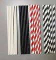 paper straws 1