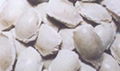 caustic calcined magnesite bal