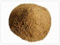 Magnesian unshaped refractory products