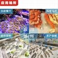 重慶超市海鮮製冰機銷售 2
