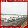 Poultry farming building chicken shed 2
