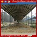 Poultry farming building chicken shed 3