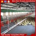 Poultry farming building chicken shed 5