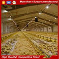 Poultry farming building chicken shed 1