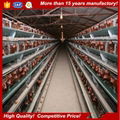 Poultry farming building chicken house 1