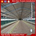 Poultry farming building chicken house 3