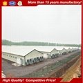 Poultry farming building chicken house 4