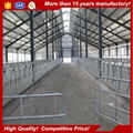 Made in China Prefab Steel Structure Cattle Shed House For Sale