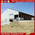 Made in China Prefab Steel Structure Cattle Shed House For Sale 5