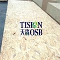 China OSB plywood with best price and high quality 2