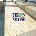 China OSB plywood with best price and high quality 3
