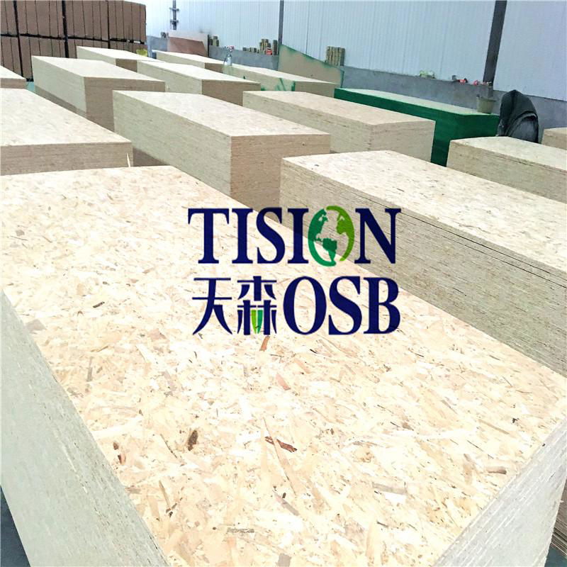 China OSB plywood with best price and high quality