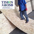 osb board (Oriented Strand Board) OSB